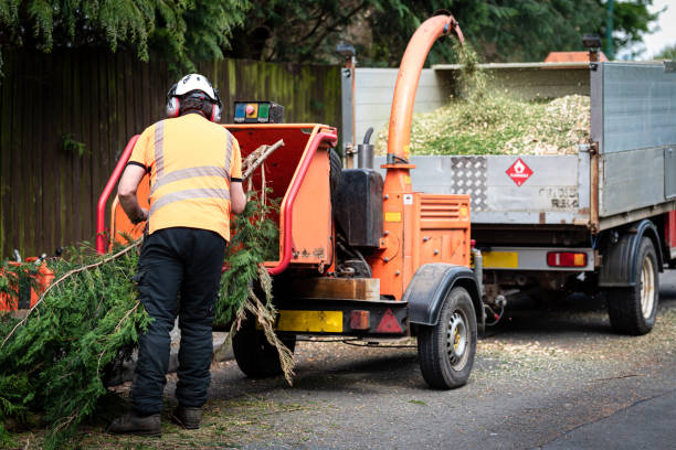 Best Aeration Services  in Woodinville, WA